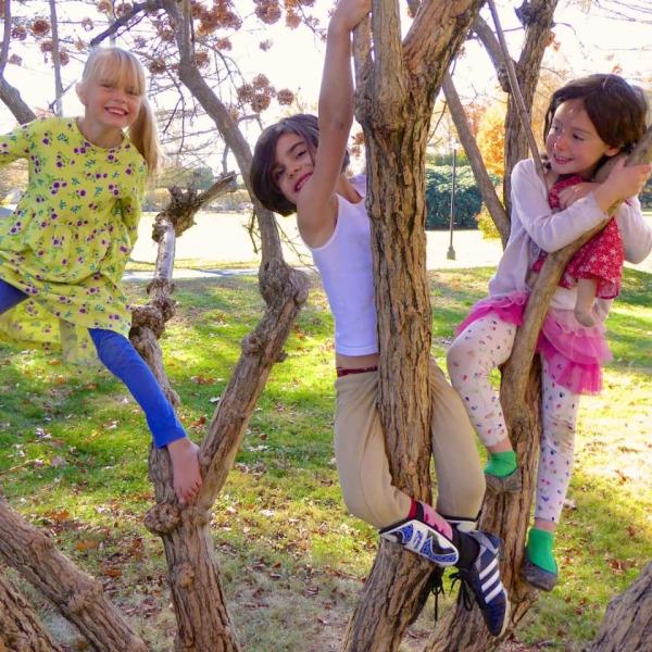 Kids playing on trees