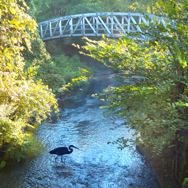 The Picturesque Bridge outside of Bartlett Interactive