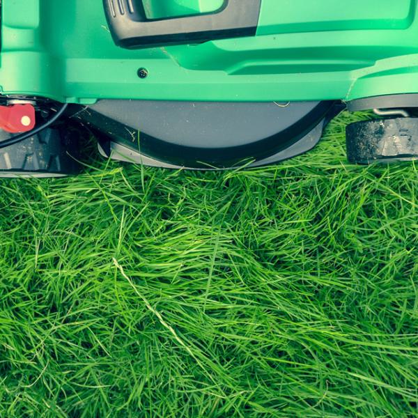 lawnmower cutting grass image