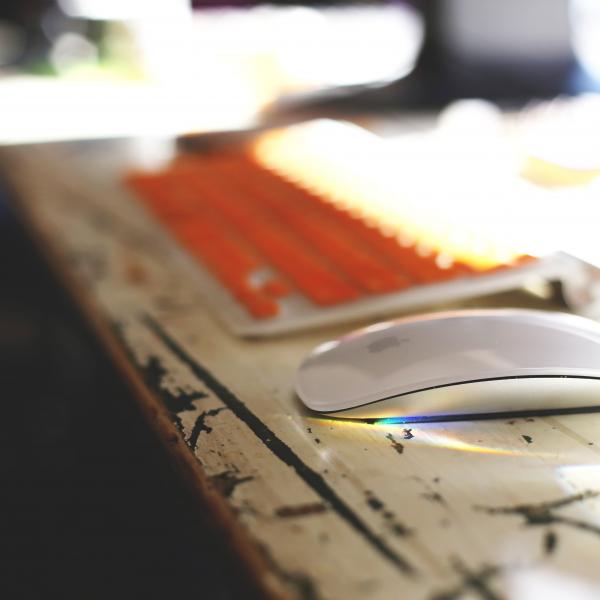 mouse and keyboard in sunlight