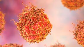 Cancer cells digital rendering